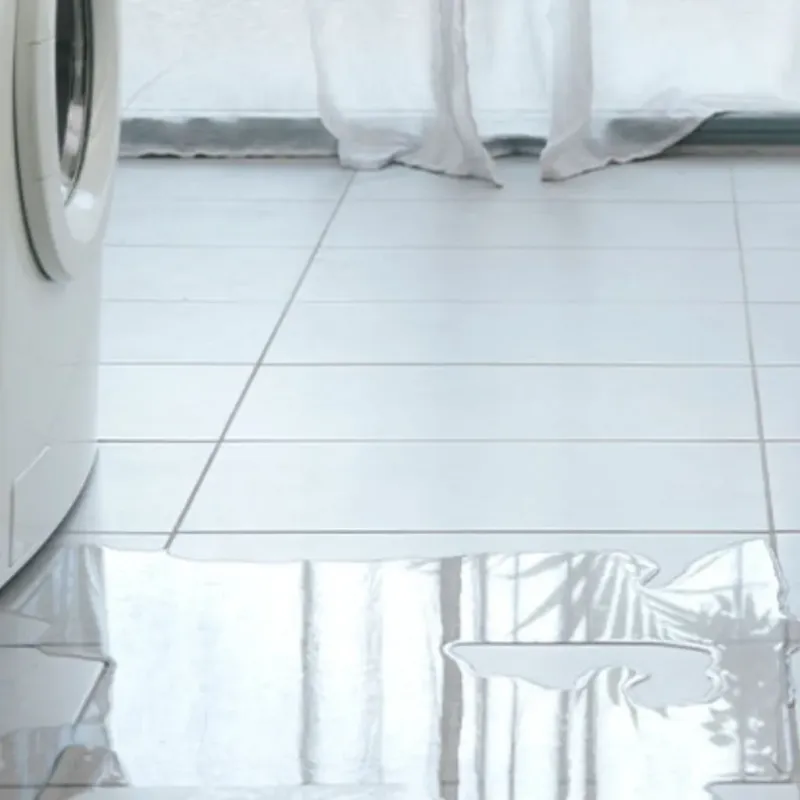 Appliance Leak Cleanup in Shell Lake, WI