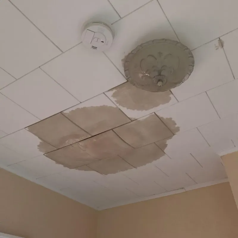 Ceiling Water Damage Repair in Shell Lake, WI