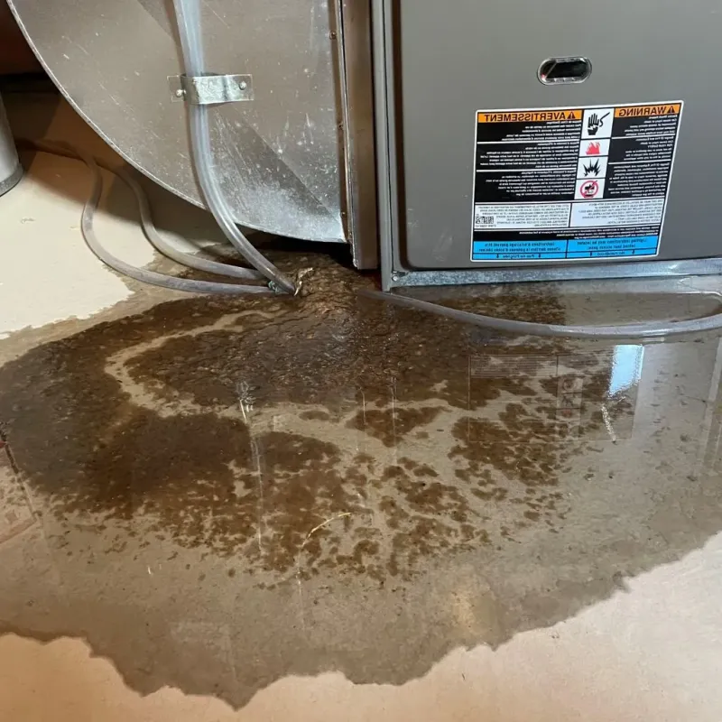 Pipe Burst and Leak Restoration in Shell Lake, WI
