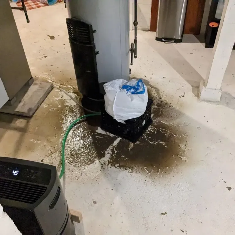 Sewage Backup Cleanup Service in Shell Lake, WI